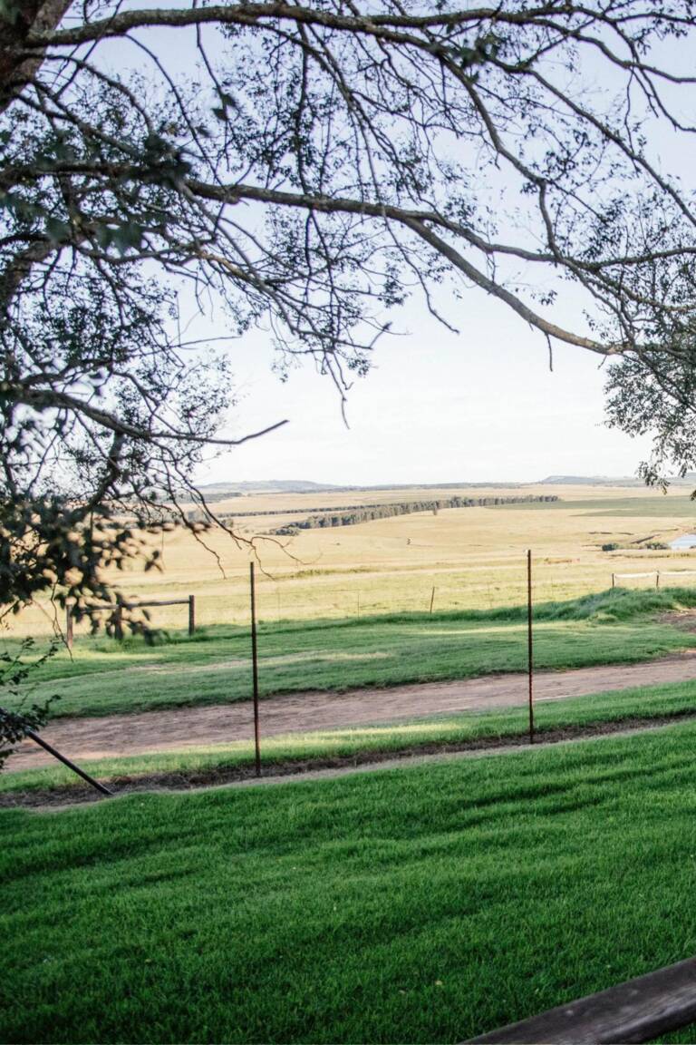 Farm
